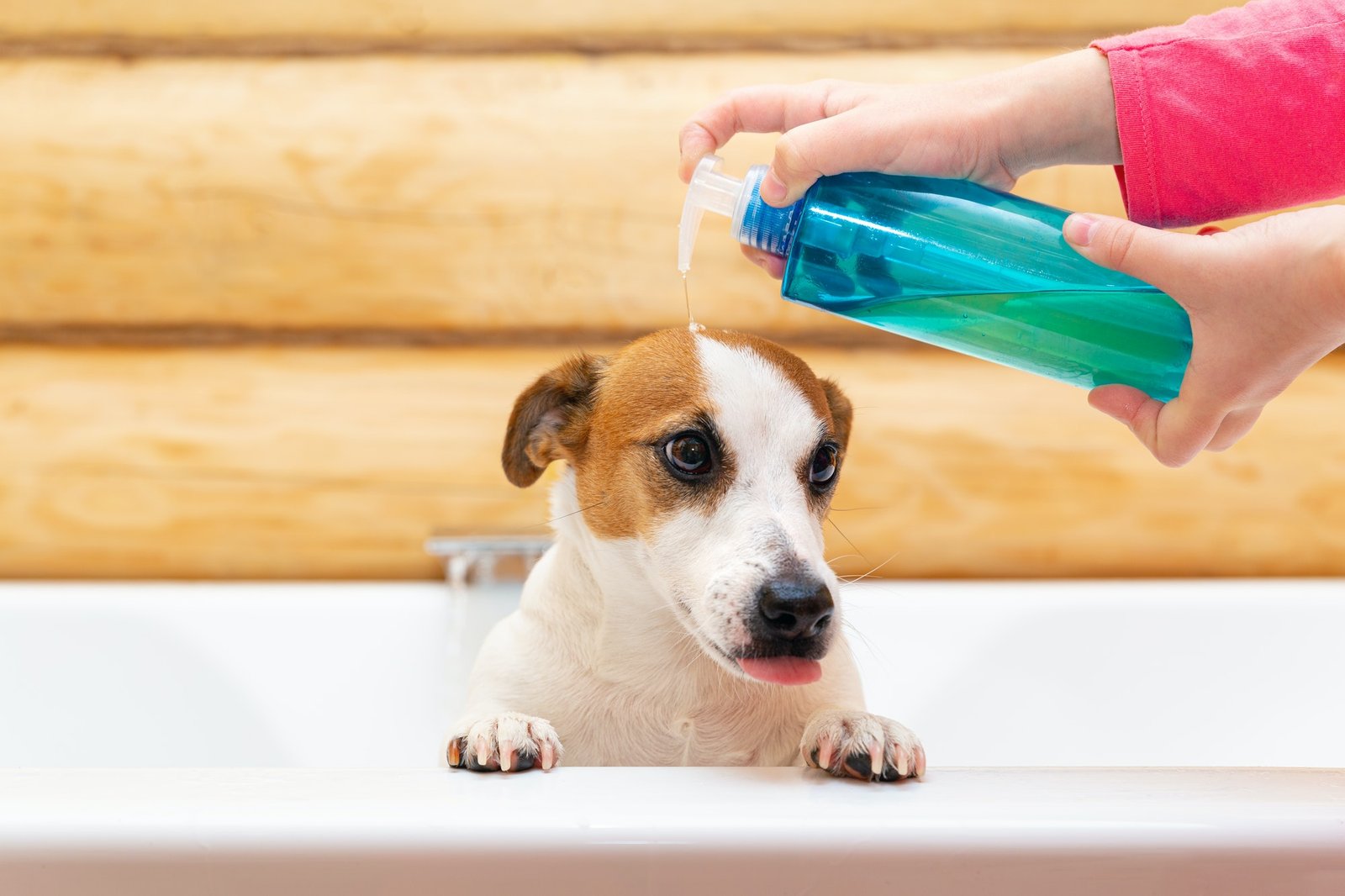 Is there antifreeze in your pet shampoo