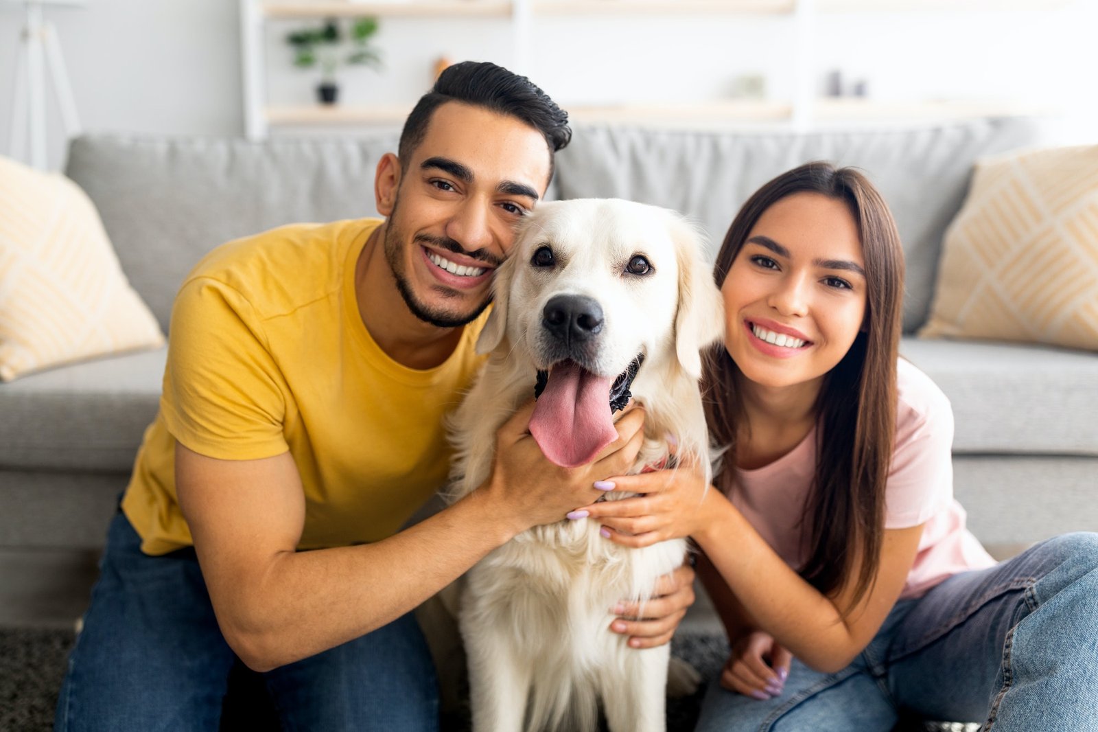 Understanding the five senses of your pet